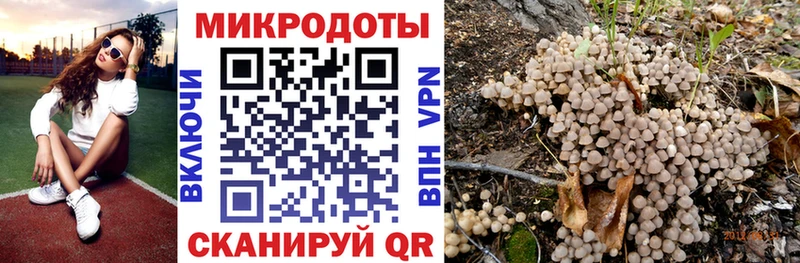 Купить где  Железногорск-Илимский  Псилоцибиновые грибы Cubensis 